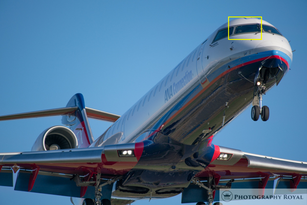 ミノルタ minolta High Speed AF APO TELE 600mm F4 G作例