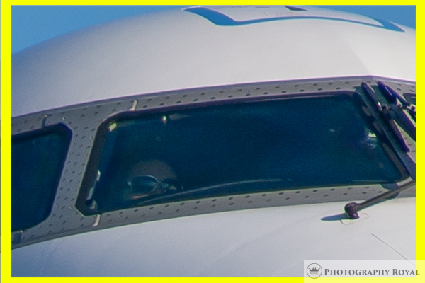 ミノルタ minolta High Speed AF APO TELE 600mm F4 G作例